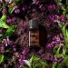 Benefits of Patchouli Essential Oil