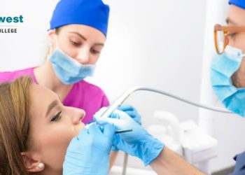 What are the common dental procedures done by the dentist?