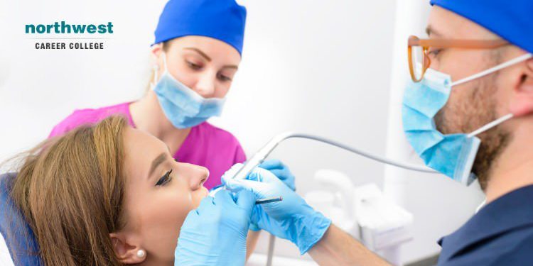 What are the common dental procedures done by the dentist?