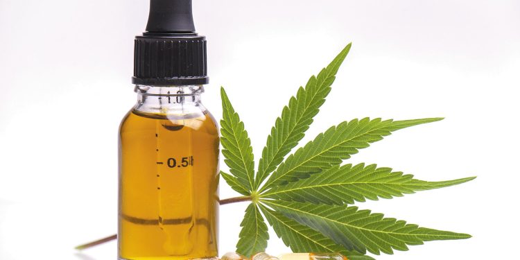 CBD and Drug Tests: How to Pass A Drug Test Even After Taking CBD