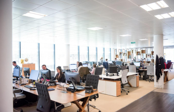 5 Ways to Boost Team Productivity In the Workplace