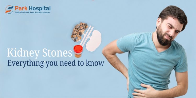 Understanding the Types of Kidney Stones and Their Treatment Options