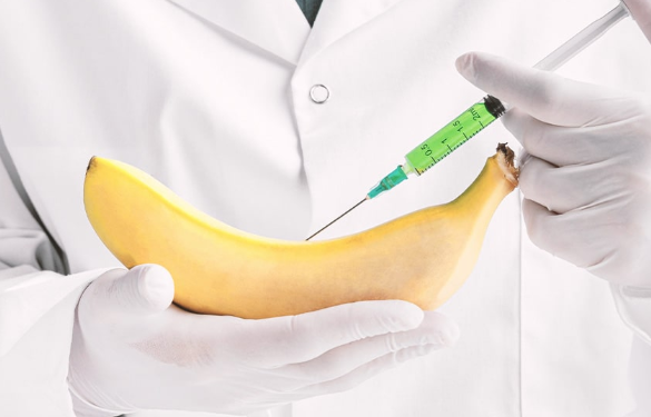 Penis Enlargement Tampa: Top Clinics and Services